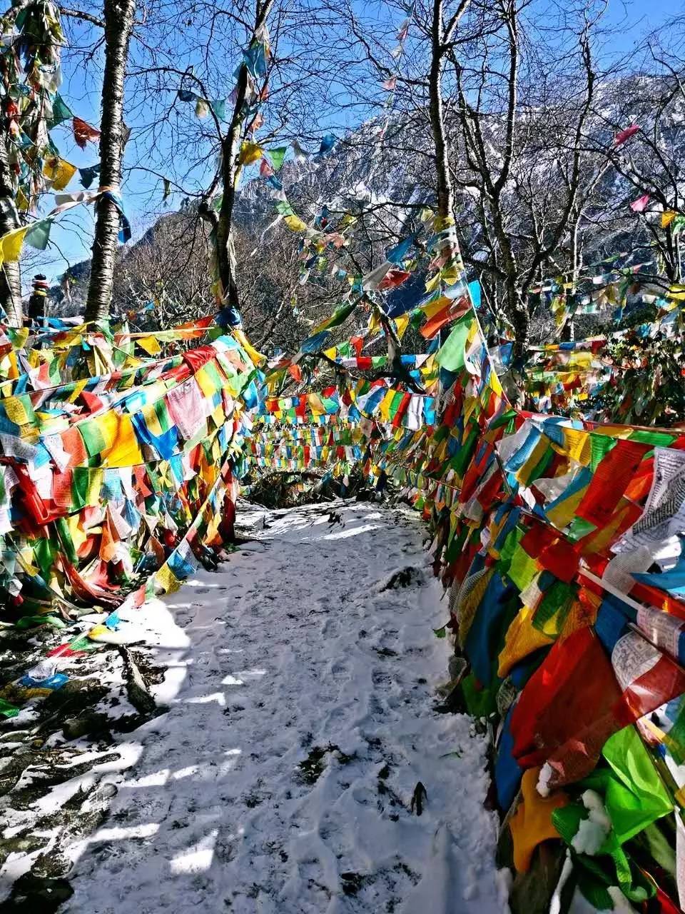 藝棧藏式客棧，我在等風(fēng)也在等你