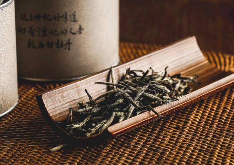 青桐·青竹茶舍，茶香縹緲靜賞西湖