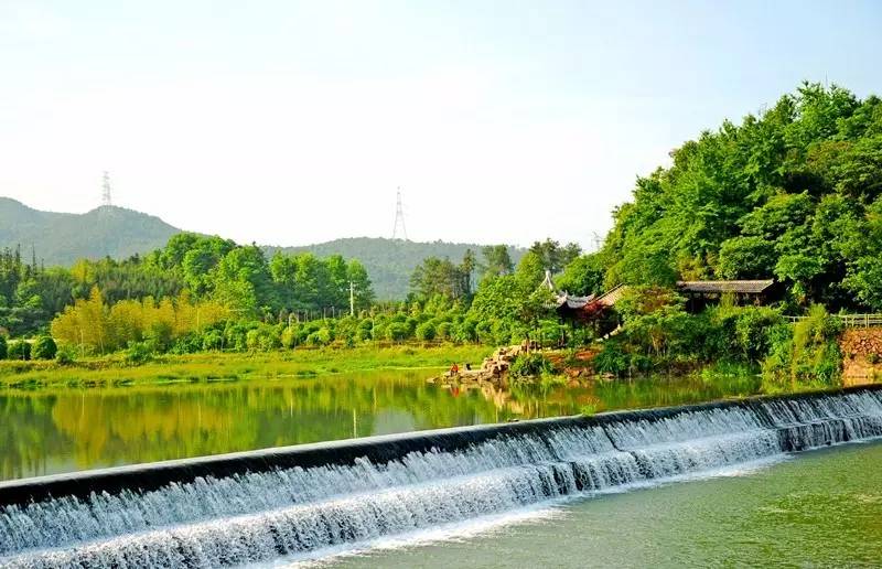 武義一水間民宿，一茶一飲盡享清閑