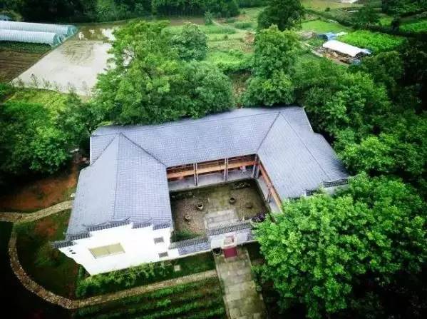 武義一水間民宿，一茶一飲盡享清閑