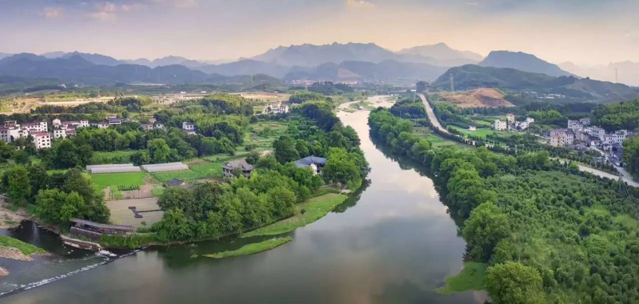 武義一水間民宿，一茶一飲盡享清閑