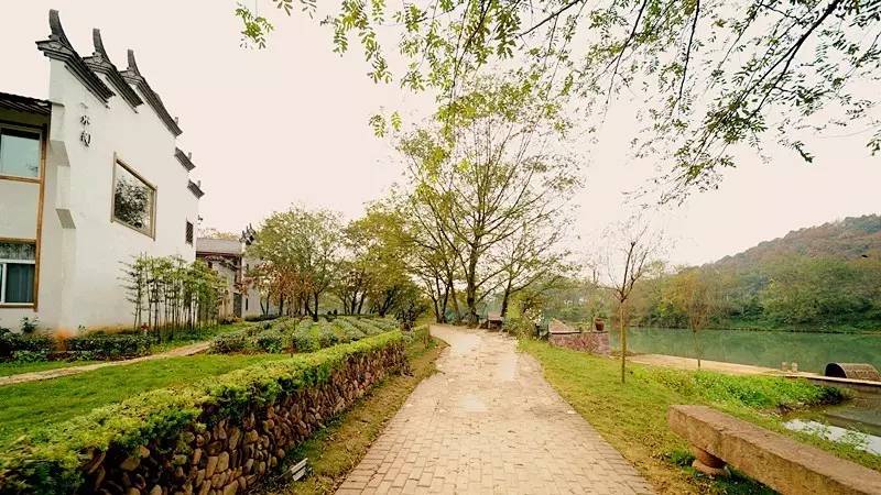 武義一水間民宿，一茶一飲盡享清閑