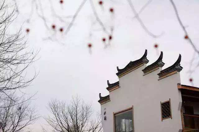 武義一水間民宿，一茶一飲盡享清閑