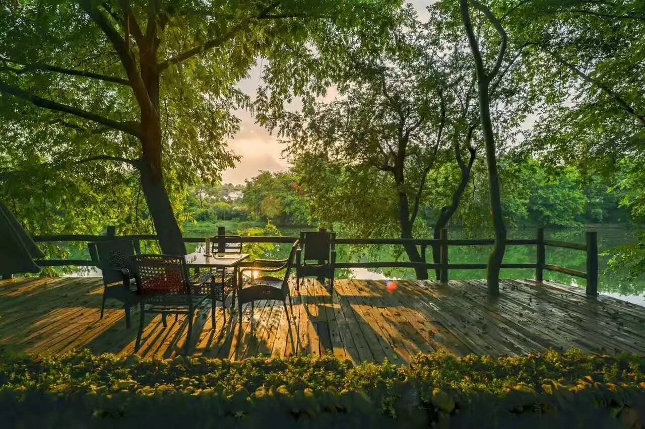 武義一水間民宿，一茶一飲盡享清閑