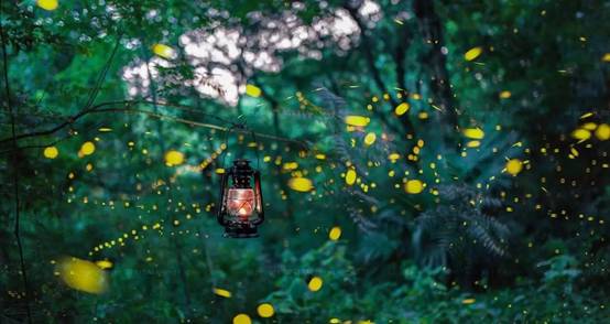 武義一水間民宿，一茶一飲盡享清閑