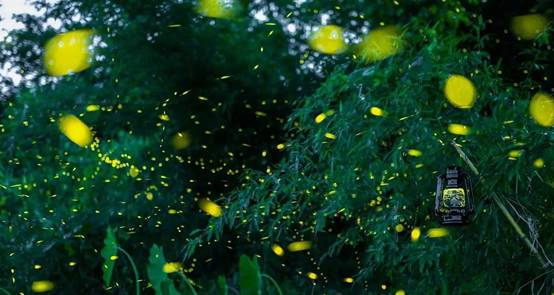 武義一水間民宿，一茶一飲盡享清閑