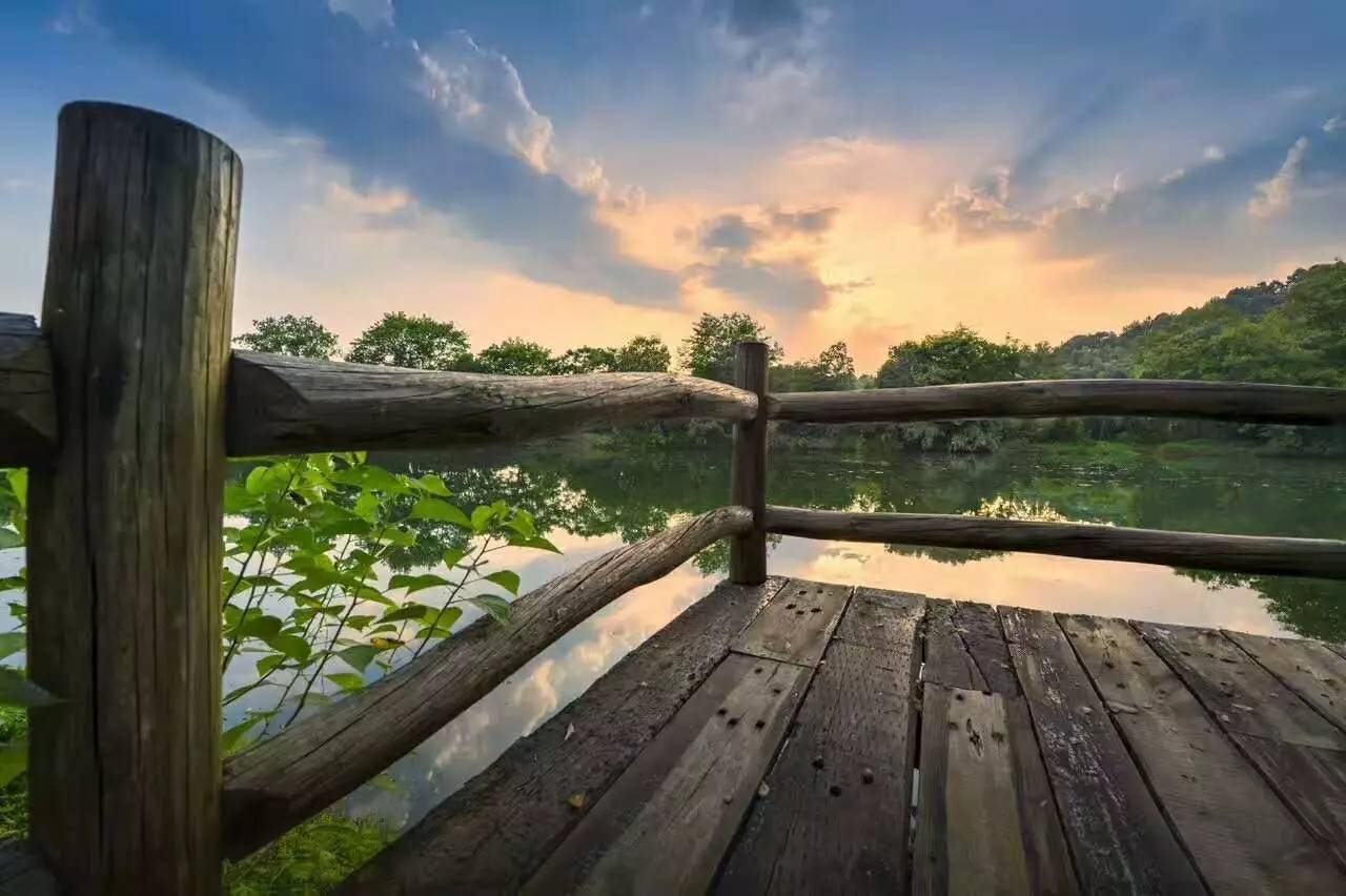 武義一水間民宿，一茶一飲盡享清閑