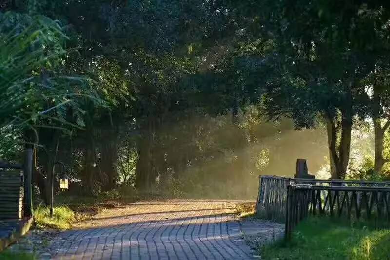 武義一水間民宿，一茶一飲盡享清閑