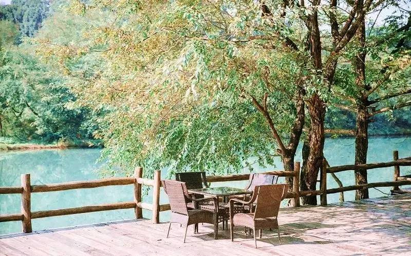 武義一水間民宿，一茶一飲盡享清閑