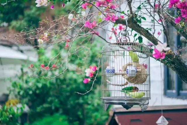 悠然別苑民宿設(shè)計，聽海風的聲音