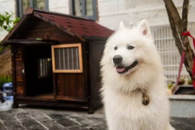 悠然別苑民宿設(shè)計，聽海風的聲音