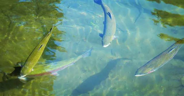 中香界長城小院，向往的最初生活