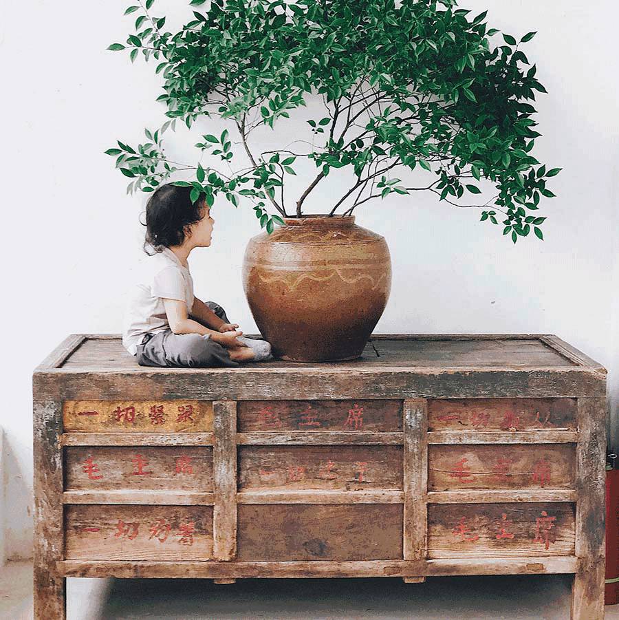 西坡千島湖民宿酒店，瓦爾登湖的自由生活