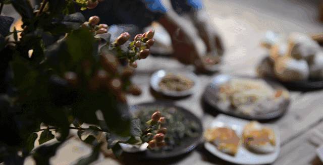 南屏喜舍民宿，從南方飛入徽州白墻灰瓦的歸燕