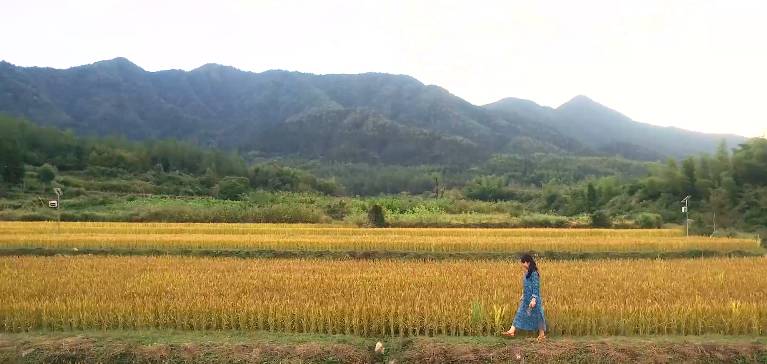 南屏喜舍民宿，從南方飛入徽州白墻灰瓦的歸燕