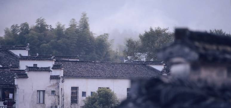 南屏喜舍民宿，從南方飛入徽州白墻灰瓦的歸燕