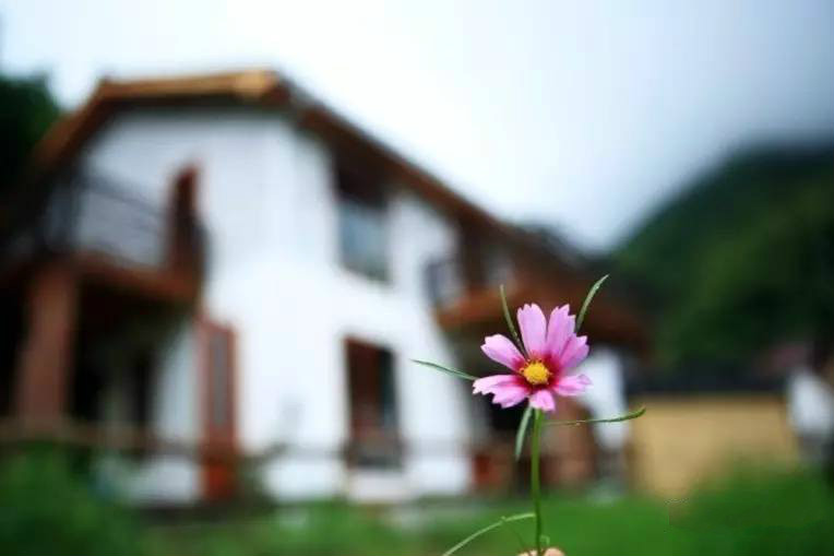 桐廬秘境民宿，不一樣人間秘境山鄉(xiāng)生活