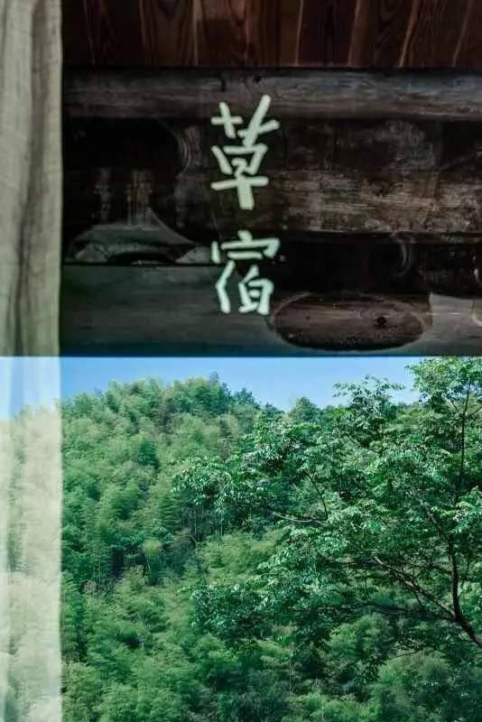 草宿民宿，愿做一顆草向往山間無拘無束的生活