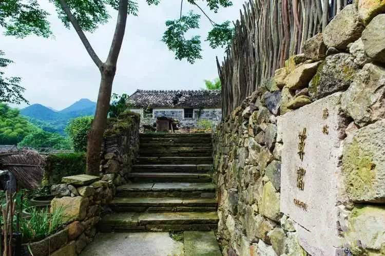 草宿民宿，愿做一顆草向往山間無(wú)拘無(wú)束的生活