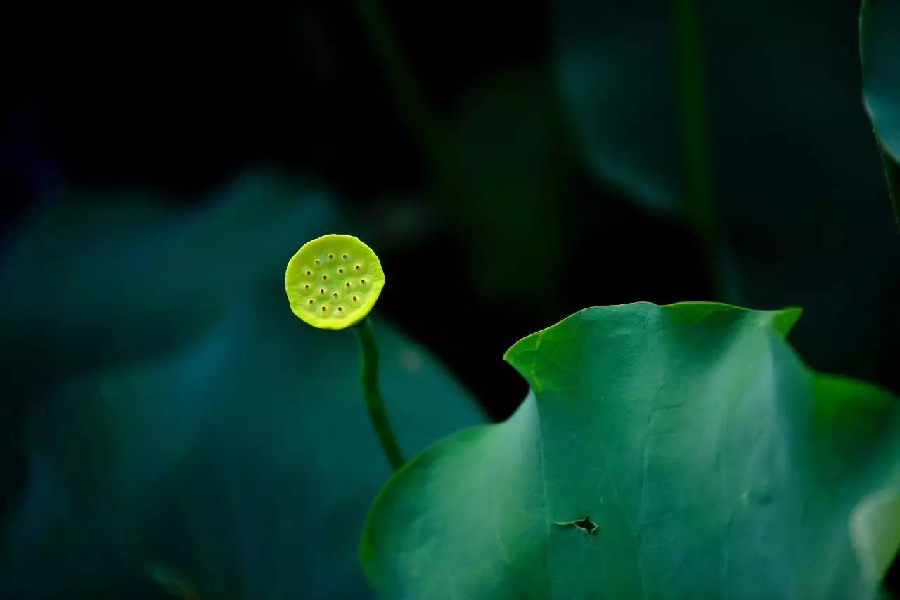 熹園茶宿，禪茶一宿悠然山水間