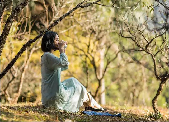 熹園茶宿，禪茶一宿悠然山水間