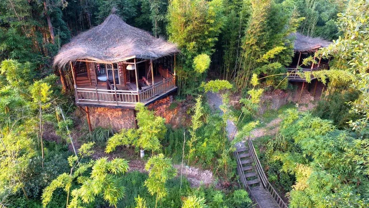 大來山樹屋民宿，喚醒古老村莊留住青山綠水