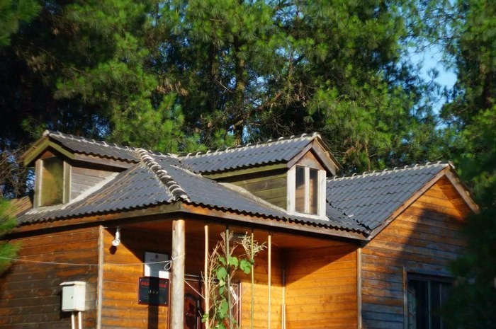 大來山樹屋民宿，喚醒古老村莊留住青山綠水