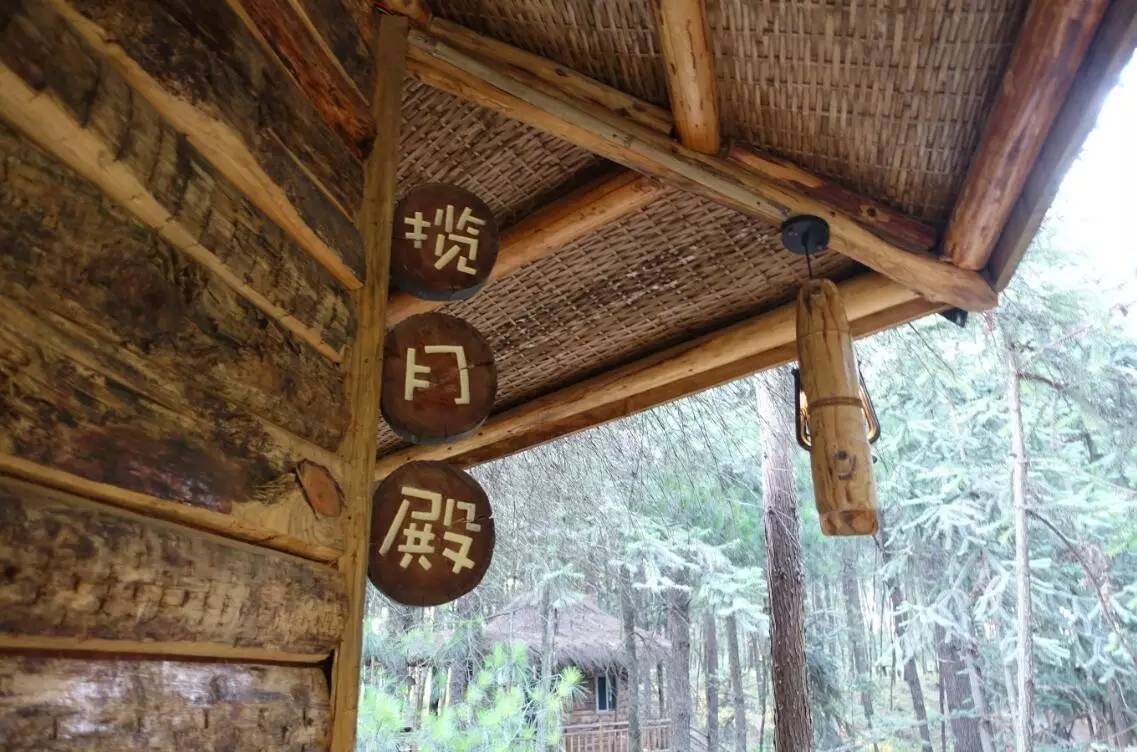 大來(lái)山樹屋民宿，喚醒古老村莊留住青山綠水