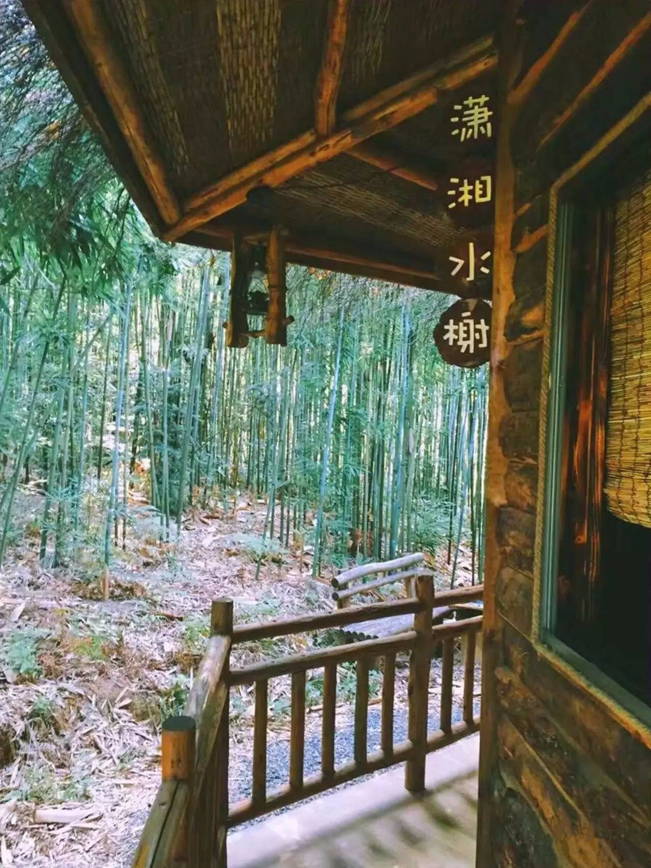 大來(lái)山樹屋民宿，喚醒古老村莊留住青山綠水