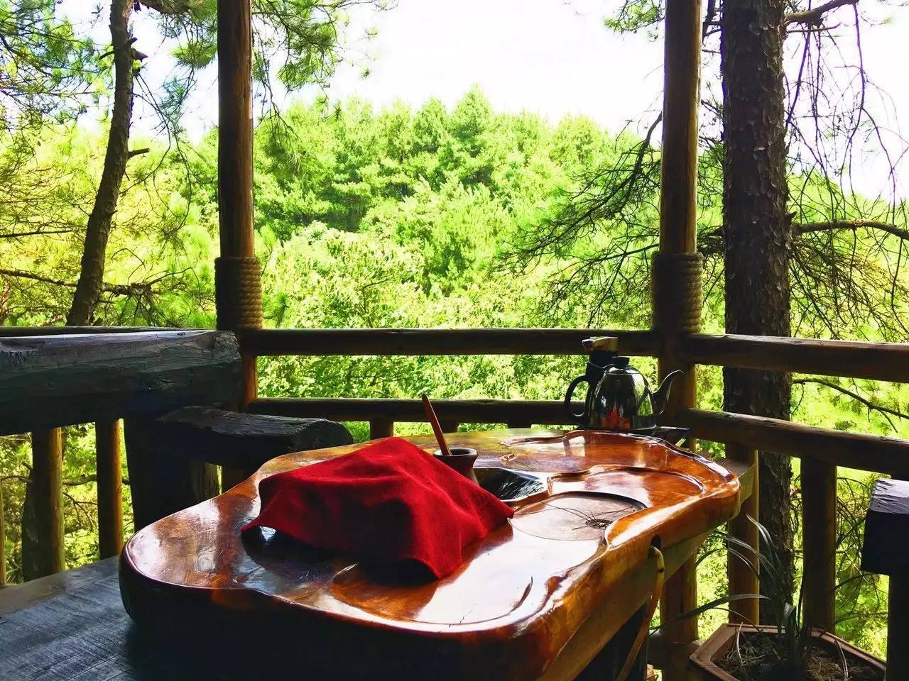 大來山樹屋民宿，喚醒古老村莊留住青山綠水