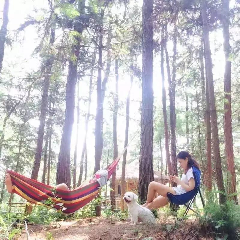 大來山樹屋民宿，喚醒古老村莊留住青山綠水