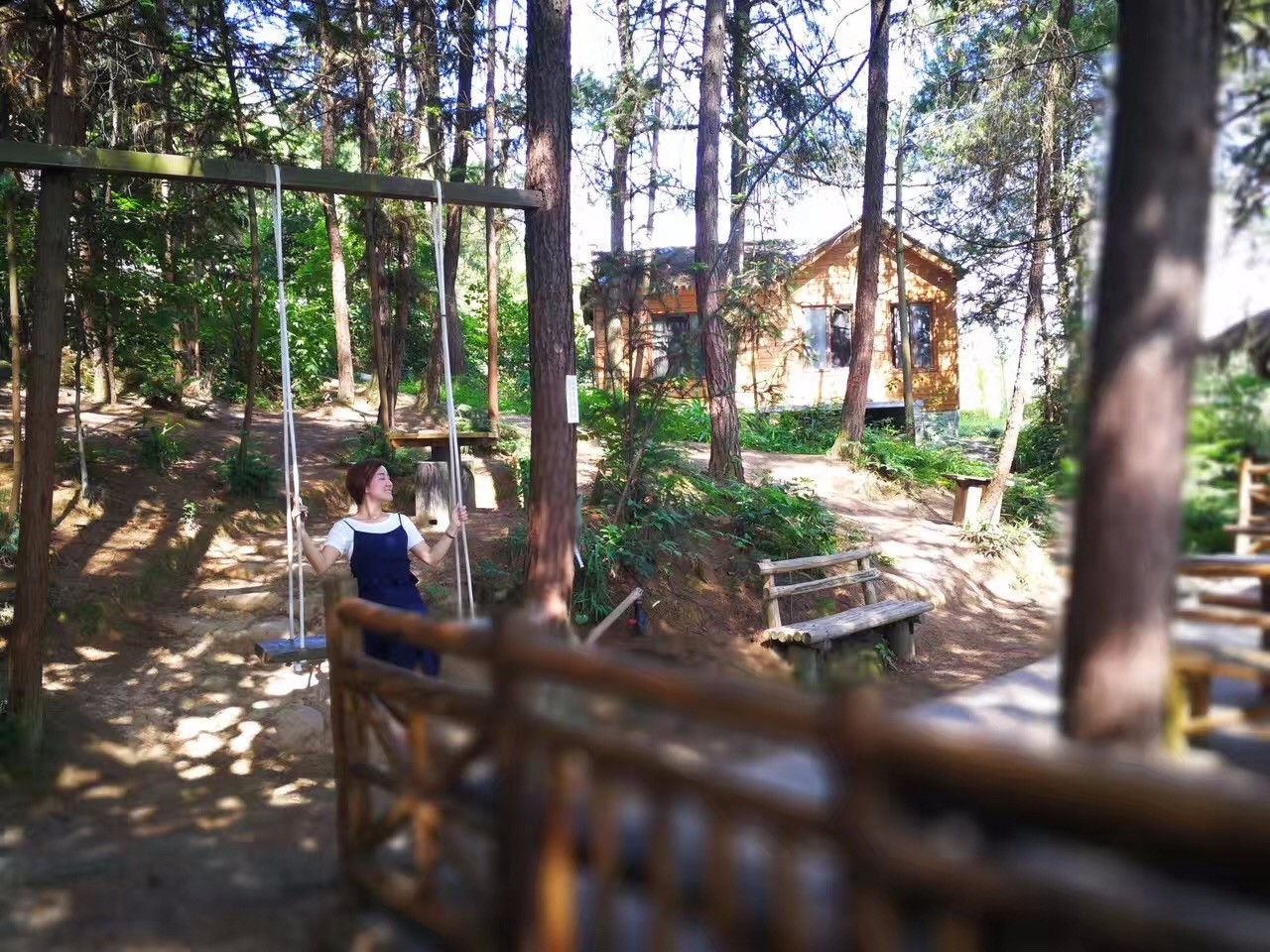 大來山樹屋民宿，喚醒古老村莊留住青山綠水