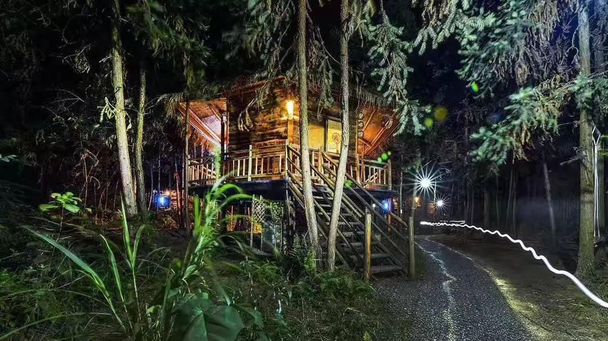 大來山樹屋民宿，喚醒古老村莊留住青山綠水