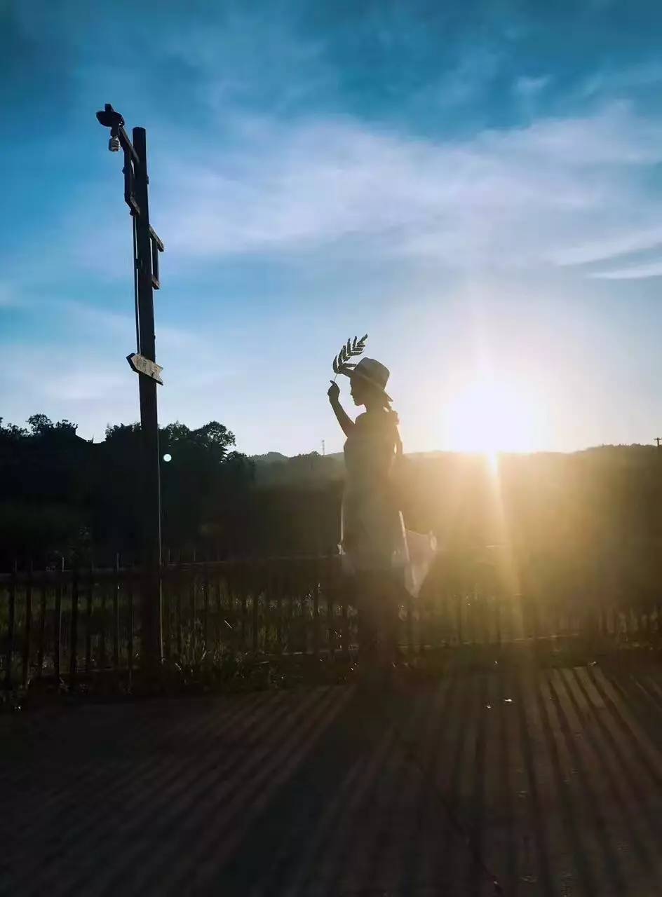 大來山樹屋民宿，喚醒古老村莊留住青山綠水