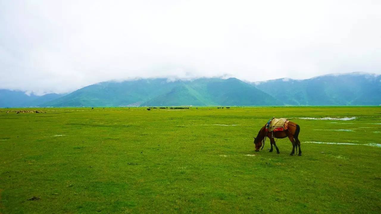 卓廬若家民宿，體味百年老宅的韻味