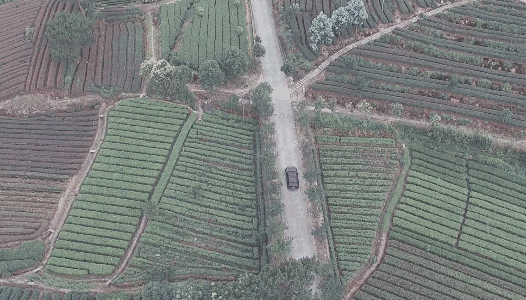 卓廬若家民宿，體味百年老宅的韻味