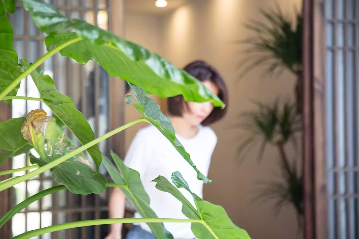 卓廬若家民宿，體味百年老宅的韻味