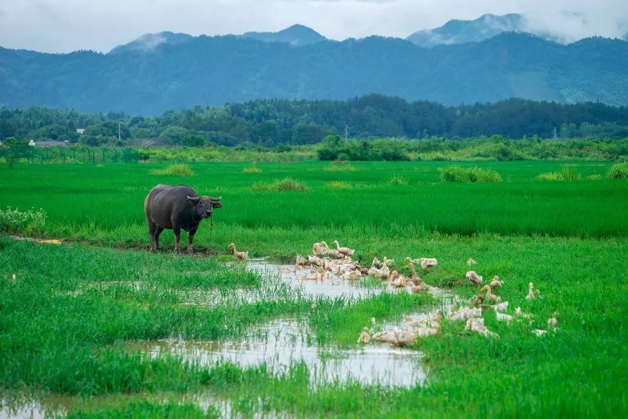 碧山·工銷社，傳承手藝延續(xù)文化