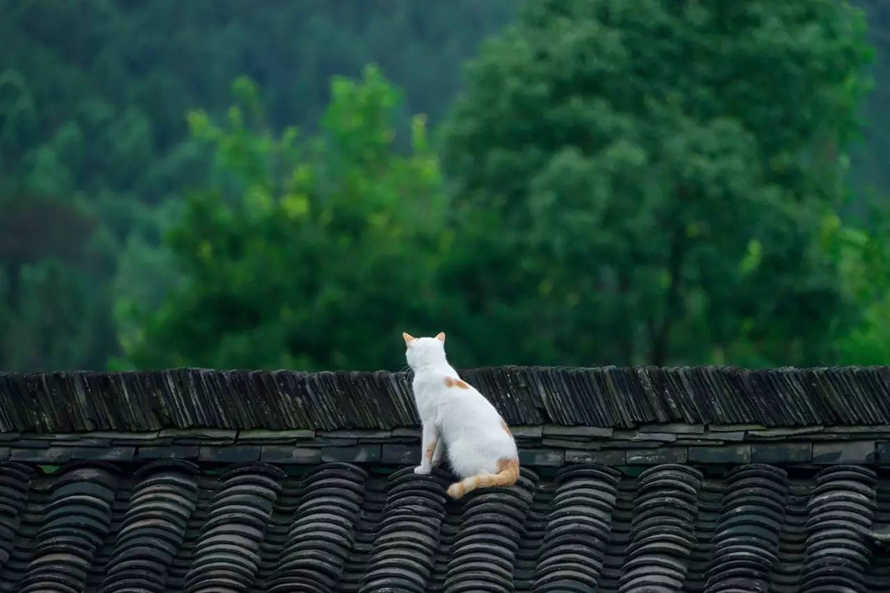 碧山·工銷社，傳承手藝延續(xù)文化