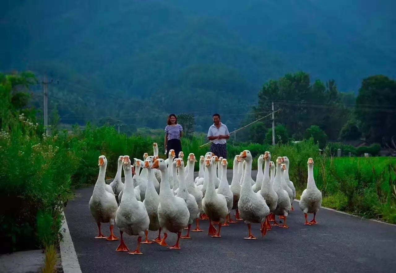 碧山·工銷社，傳承手藝延續(xù)文化