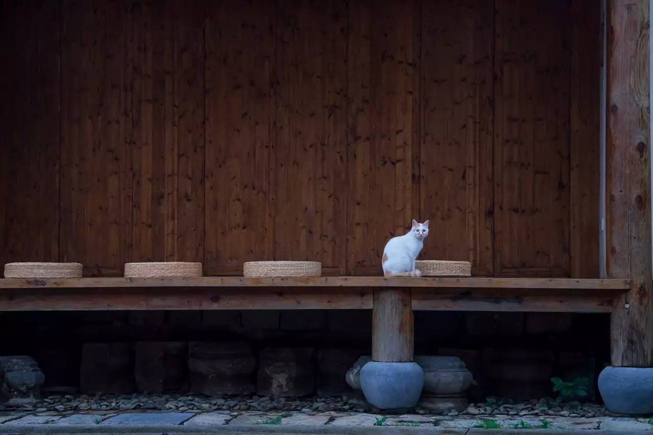 碧山·工銷社，傳承手藝延續(xù)文化