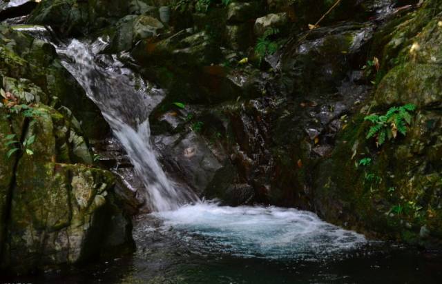 不舍·野馬嶺中國村民宿，樂在其中不忘初心
