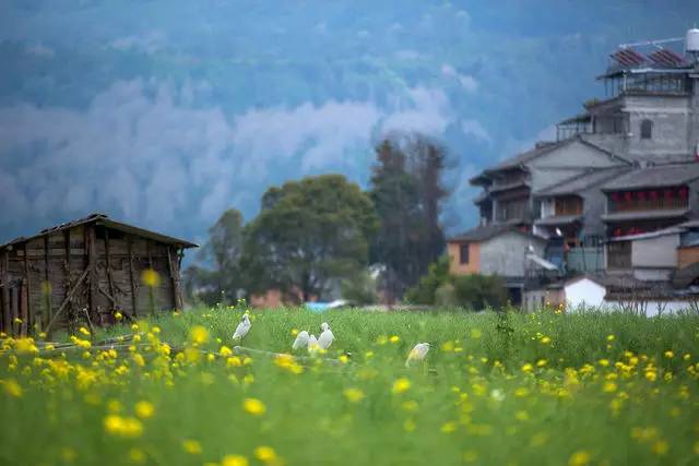 山居秋暝民宿，在大龍井古鎮(zhèn)體驗(yàn)民族文化