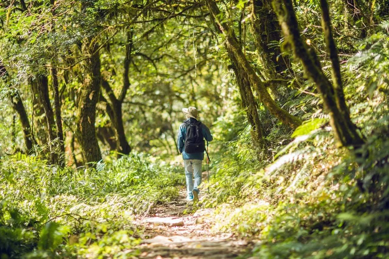 山居秋暝民宿，在大龍井古鎮(zhèn)體驗(yàn)民族文化