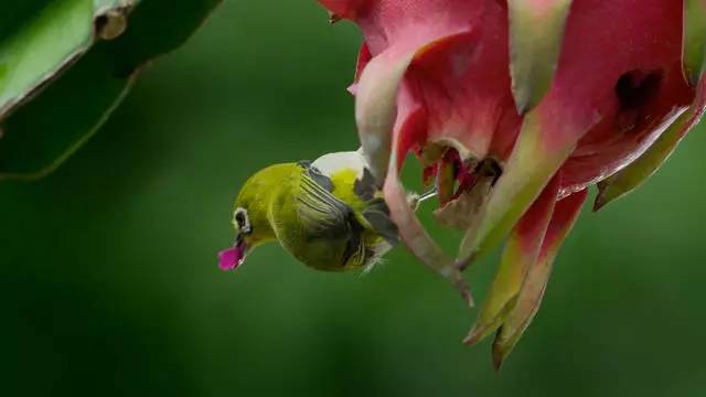 山居秋暝民宿，在大龍井古鎮(zhèn)體驗民族文化