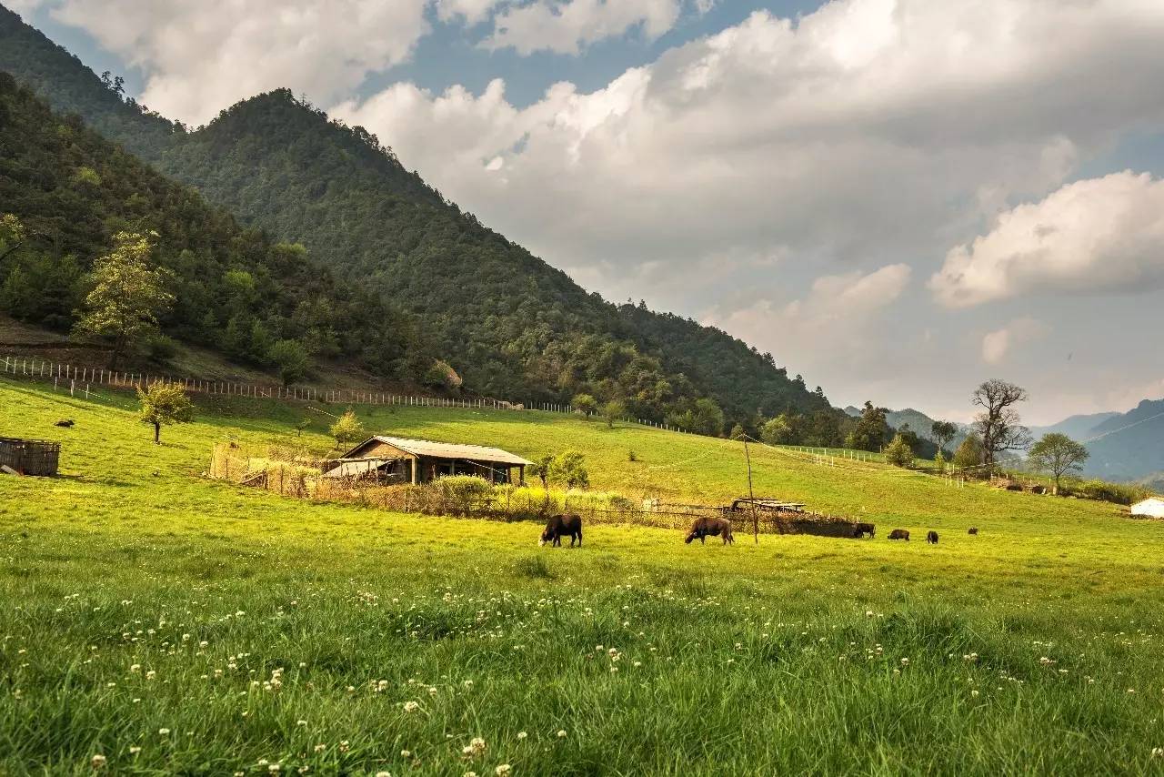 山居秋暝民宿，在大龍井古鎮(zhèn)體驗民族文化