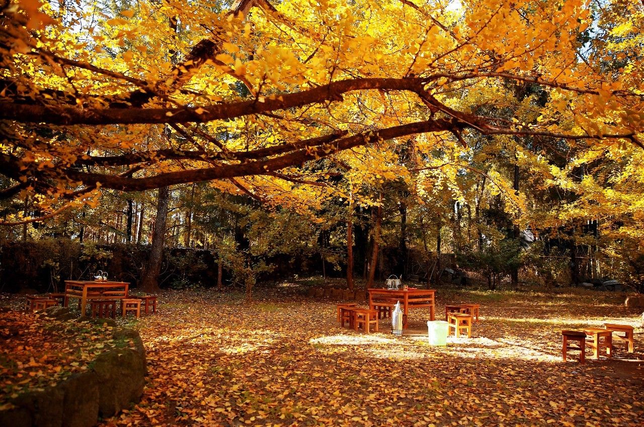 山居秋暝民宿，在大龍井古鎮(zhèn)體驗民族文化