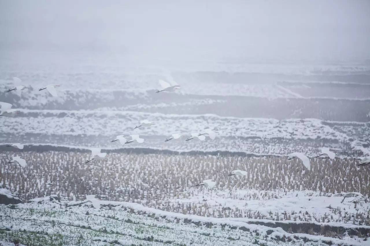 山居秋暝民宿，在大龍井古鎮(zhèn)體驗民族文化