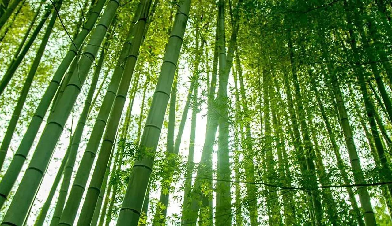 荒無舍民宿，山腳下日出而作日落而息