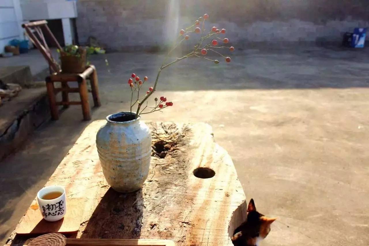 荒無舍民宿，山腳下日出而作日落而息